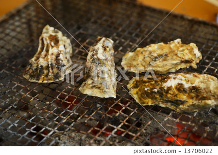 Oyster 13706022