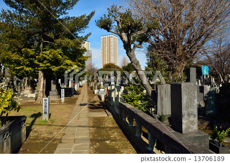 Tanoyuku Walk walk · Yanaka Cemetery and high-rise apartment 13706189