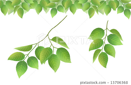 leaf  13706368