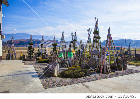 Snow-covered garden tree Snow-covered garden tree 13710453