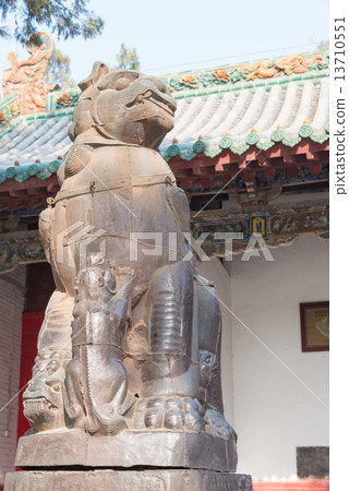 中國河南省洛陽林（Kanemaru） 13710551