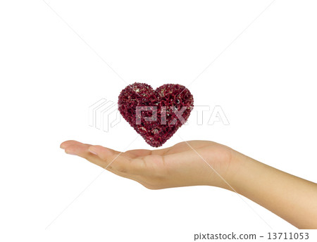 Love relation concept with the heart flower in between hand two 13711053