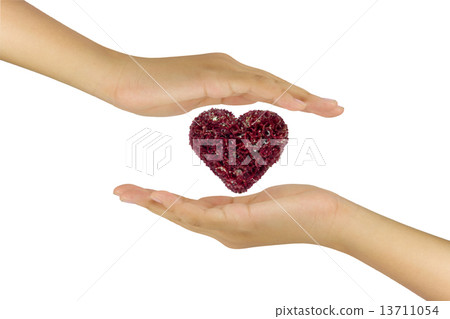 Love relation concept with the heart flower in between hand two 13711054