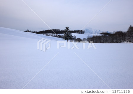 Daiki of the snowy field Daiki of the snowy field 13711136
