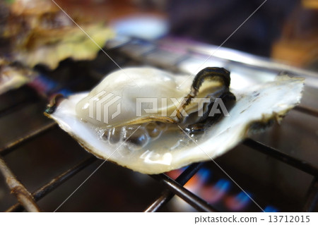 Winter oyster 13712015