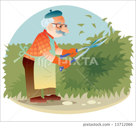 The old gardener working in the garden cutting the bushes 13712066