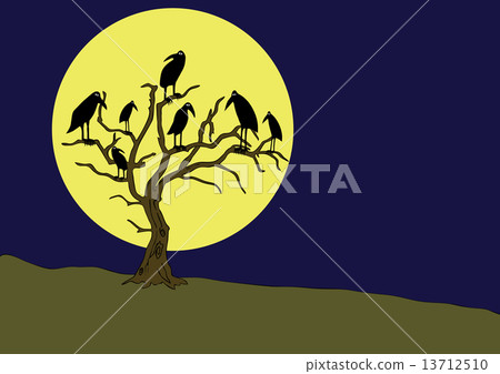 ravens on the rampike at night 13712510