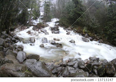 Clear river flower Flow of clear river Clear river flower Flow of clear river 13713147