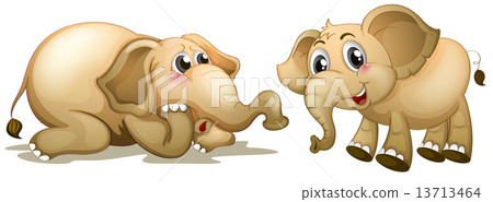 Two playful elephants Two playful elephants 13713464