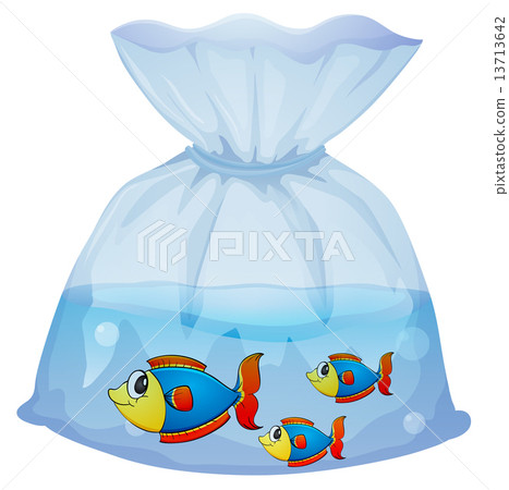 A plastic pouch with three fishes A plastic pouch with three fishes 13713642