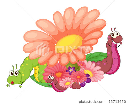 Flowers with caterpillars 13713650