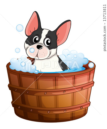 A dog taking a bath A dog taking a bath 13713811