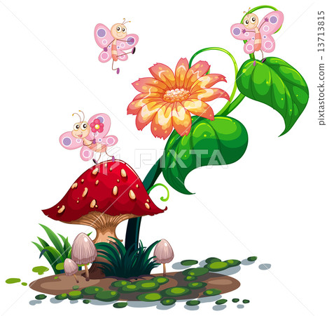 Butterflies roaming around the plant with a flower 13713815