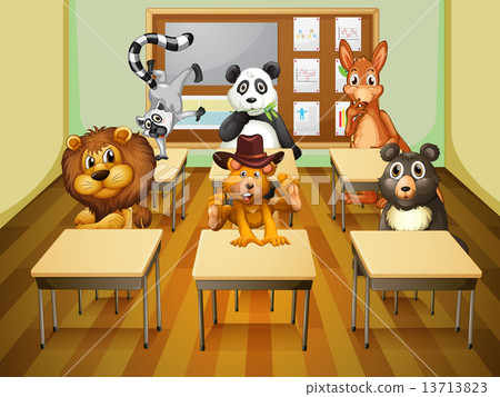 Aimals in classroom Aimals in classroom 13713823