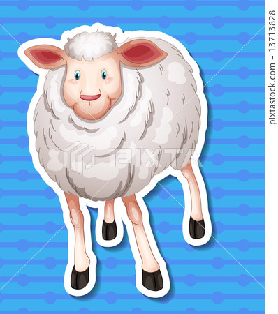 Sheep 13713828
