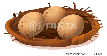 A nest with three eggs A nest with three eggs 13714200