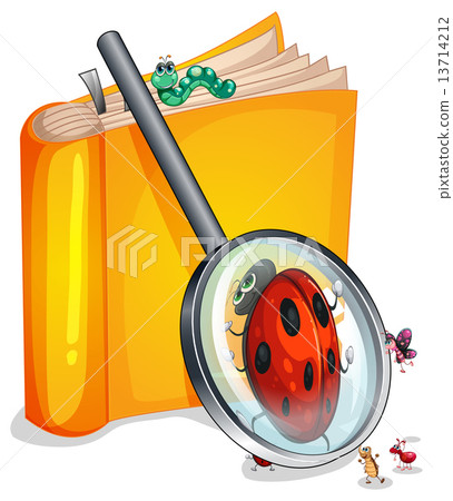 Book worm Book worm 13714212