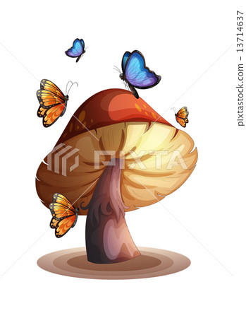 A big mushroom with butterflies A big mushroom with butterflies 13714637