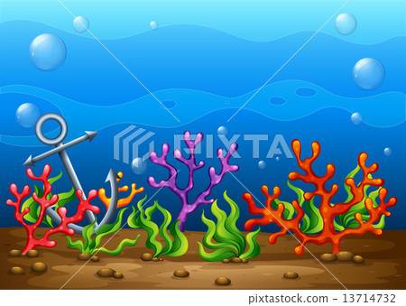 Underwater Underwater 13714732