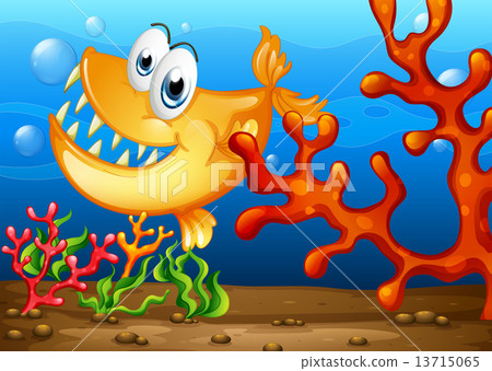 underwater and fish 13715065