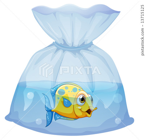 A fish inside the plastic pouch A fish inside the plastic pouch 13715125