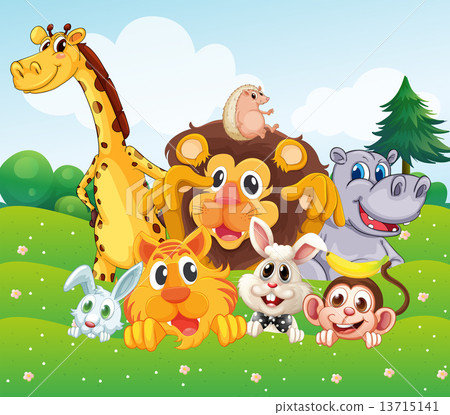 图库插图: animals at the hill