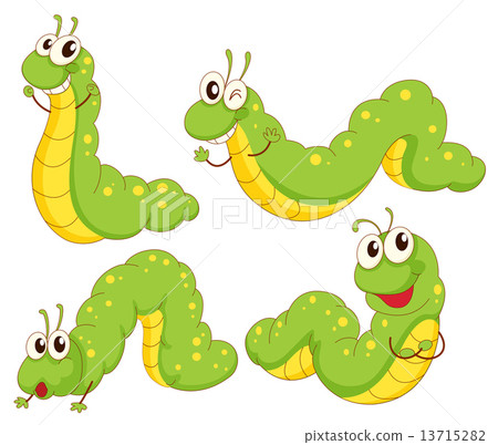 Four green caterpillars Four green caterpillars 13715282