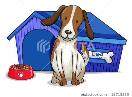 A dog outside the blue house A dog outside the blue house 13715389