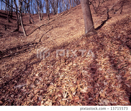 死葉山 13715573