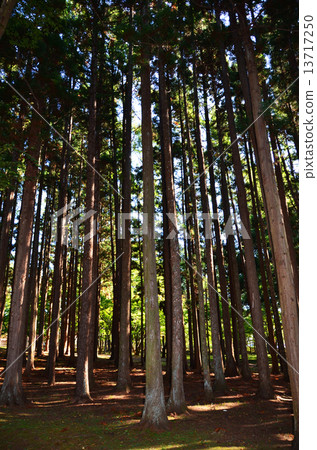 Hakodate Meguro Park 13717250