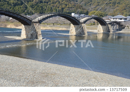 從左岸看到的“金泰橋”（山口縣岩國市岩國市） 13717509