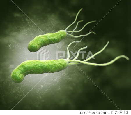 HELICOBACTER PYLORI 13717610