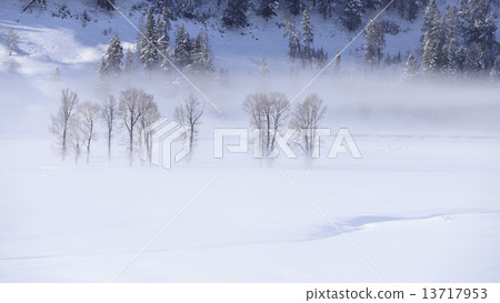 Foggy Morning Foggy Morning 13717953