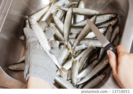 Fresh fish smelt will be cleaned soon 13718051