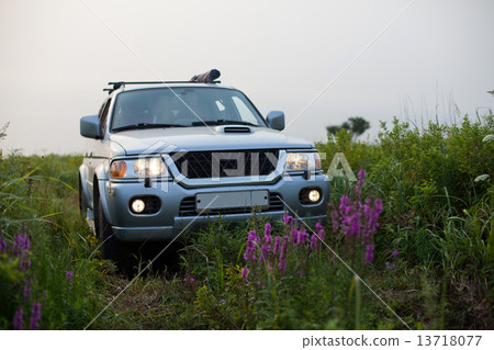 Car in the meadow 13718077