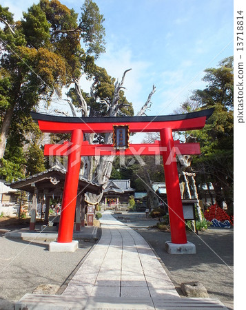 Izu Shimoda Shirahama Shirahama Shrine 13718814