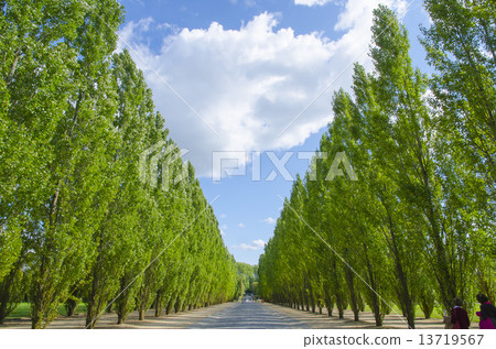 Petit trianone Petit trianone 13719567