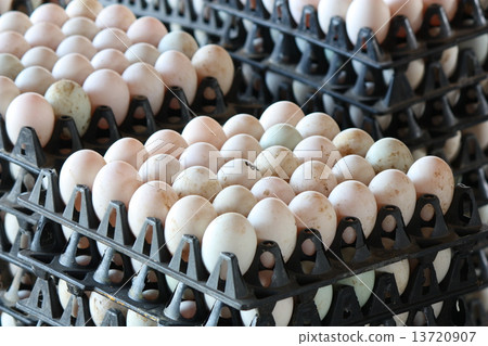 Duck Eggs in the black package 13720907