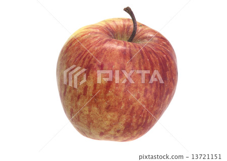 apple apple 13721151