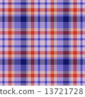 textile retro texture, pattern for kilt or hipster shirt 13721728