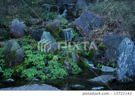 日本庭園風景 日本庭園風景 13722142