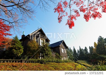 The autumn leaves and the blue sky of the former Furukawa garden 13722201
