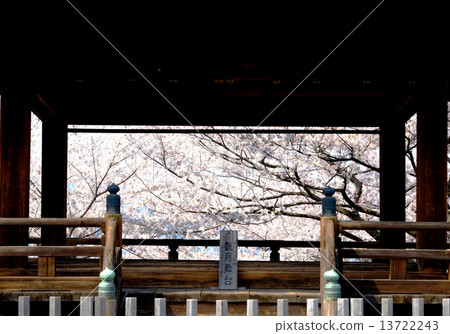 Cherry blossoms at Mitsukuji Temple moon stage Cherry blossoms at Mitsukuji Temple moon stage 13722243