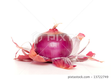 red onion 13722749