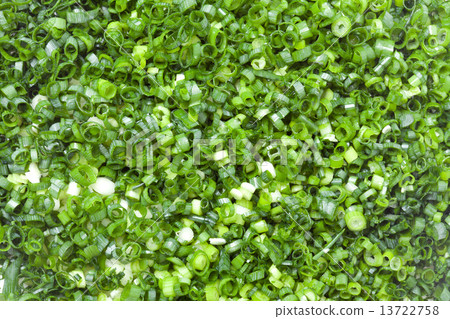 Midin切蔥花 13722758