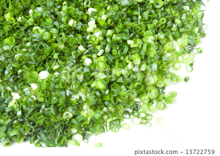 Midin切蔥花 13722759