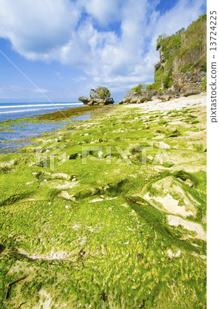 Coastline of Bali island, Indonesia. 13724225