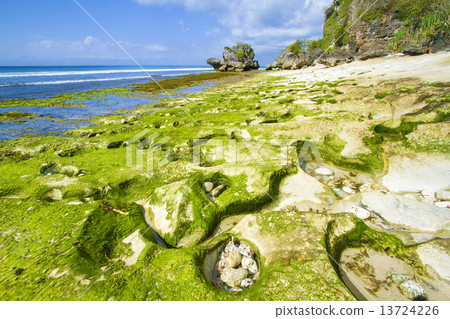 Coastline of Bali island, Indonesia. Coastline of Bali island, Indonesia. 13724226