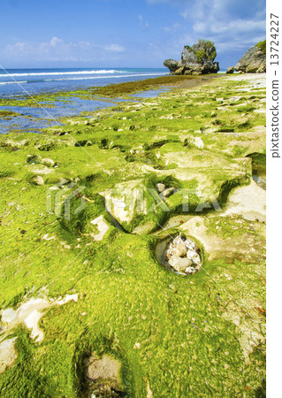 Coastline of Bali island, Indonesia. 13724227