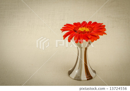 Flowers Flowers 13724556